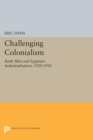 Challenging Colonialism : Bank Misr and Egyptian Industrialization, 1920-1941 - eBook