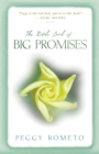Little Book of Big Promises - eBook