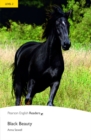 Level 2: Black Beauty - Book