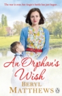 An Orphan's Wish - Book