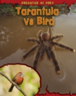 Tarantula vs Bird - Book