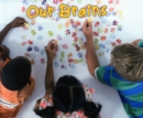 Our Brains - Book