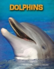 Dolphins - Book