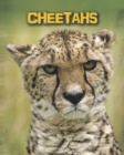 Cheetahs - Book