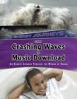 From Crashing Waves to Music Download : An energy journey through the world of sound - eBook