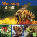 Working Animals of the World - eBook