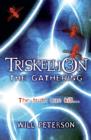 Triskellion 3: The Gathering - Book