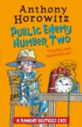 The Diamond Brothers in Public Enemy Number Two - eBook