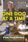 One Dog at a Time : An inspiring true story of saving the strays of Afghanistan - eBook