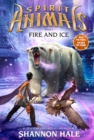 Fire and Ice - eBook