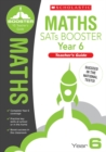 Maths Teacher's Guide (Year 6) - Book