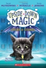 UPSIDE DOWN MAGIC #2: Sticks and Stones - Book