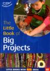 The Little Book of Big Projects : Little Books with Big Ideas (68) - Book