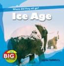 Ice Age - Book