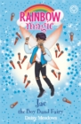 Rainbow Magic: Jae the Boy Band Fairy - Book