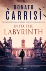 Into the Labyrinth - eBook