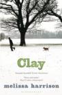 Clay - Book