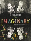 The Imaginary - Book