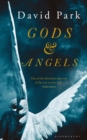 Gods and Angels - eBook