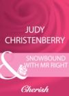 Snowbound With Mr Right - eBook