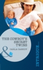The Cowboy's Secret Twins - eBook