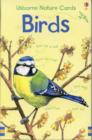 Birds - Book