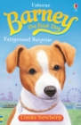Barney the Boat Dog Fairground Surprise - Book