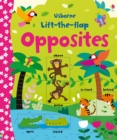 Lift-the-flap Opposites - Book