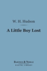 A Little Boy Lost (Barnes & Noble Digital Library) - eBook