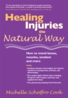 Healing Injuries the Natural Way : How to Mend Bones, Muscles, Tendons and More - eBook