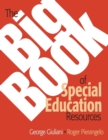 The Big Book of Special Education Resources - Book