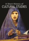 A Short History of Cultural Studies - eBook