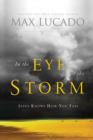 In the Eye of the Storm - eBook