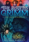 Sisters Grimm: Book Two: The Unusual Suspects (10th anniversary reissue) - Book