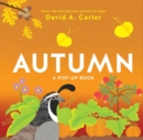 Autumn : A Pop-Up Book - Book