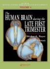 The Human Brain During the Late First Trimester - eBook