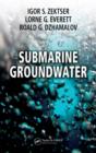 Submarine Groundwater - eBook