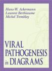 Viral Pathogenesis in Diagrams - eBook