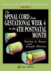 The Spinal Cord from Gestational Week 4 to the 4th Postnatal Month - eBook