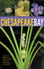 Plants of the Chesapeake Bay : A Guide to Wildflowers, Grasses, Aquatic Vegetation, Trees, Shrubs, and Other Flora - Book