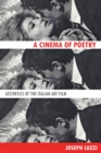 A Cinema of Poetry - eBook