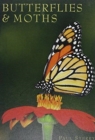 Butterflies & Moths - Book