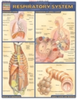 Respiratory System - eBook