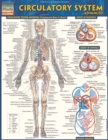 Circulatory System Advanced - eBook