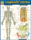 Lymphatic System - eBook