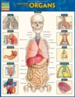 Anatomy of the Organs : QuickStudy Reference Guide - eBook
