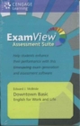 DOWNTOWN BASIC EXAMVIEW - Book