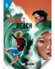 The Secret Beach: Page Turners 5 - Book