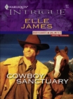Cowboy Sanctuary - eBook