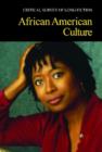 African American Novelists - Book